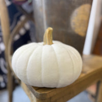 Pumpkins - 7.5"