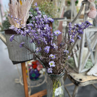 Aster Delphinium Bush - Purple - 23"