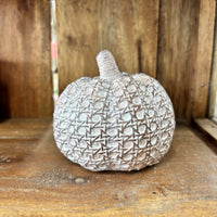 Tan Textured Resin Pumpkin