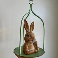 Thinking Bunny