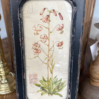 Botanical Print
