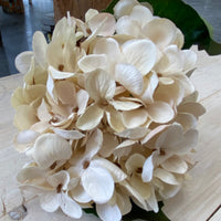 13" Cream Hydrangea Pick