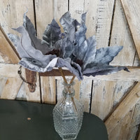 Pointed Blue Velvet Poinsettia