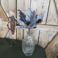 Pointed Blue Velvet Poinsettia