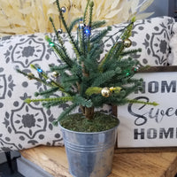 Light Up Tree in Bucket