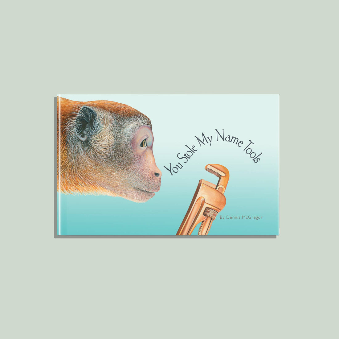 You Stole My Name Tools (Children's Picture Book)