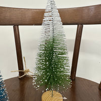 Bottle Brush Trees with Snow Frosted Top