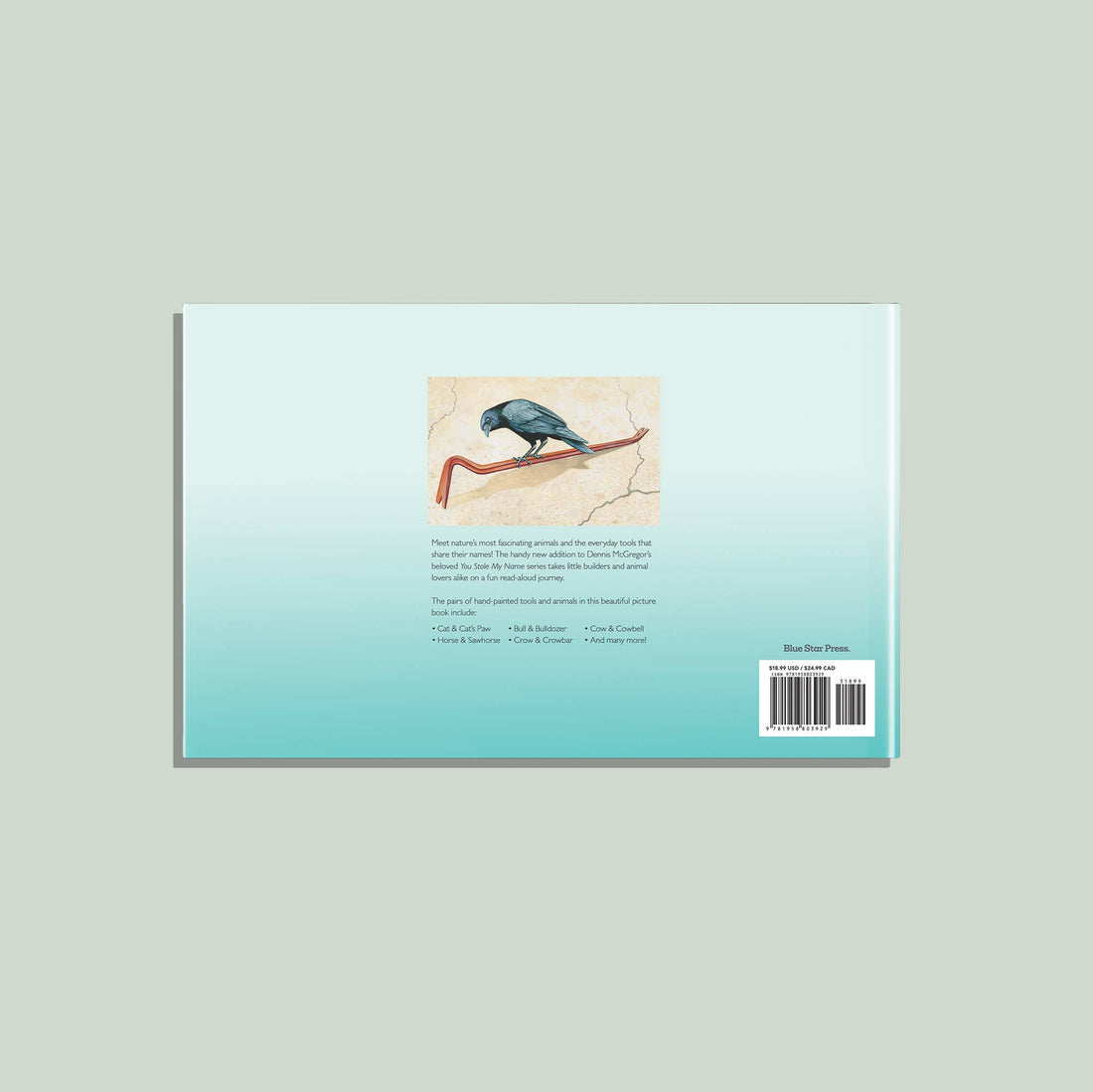 You Stole My Name Tools (Children's Picture Book)
