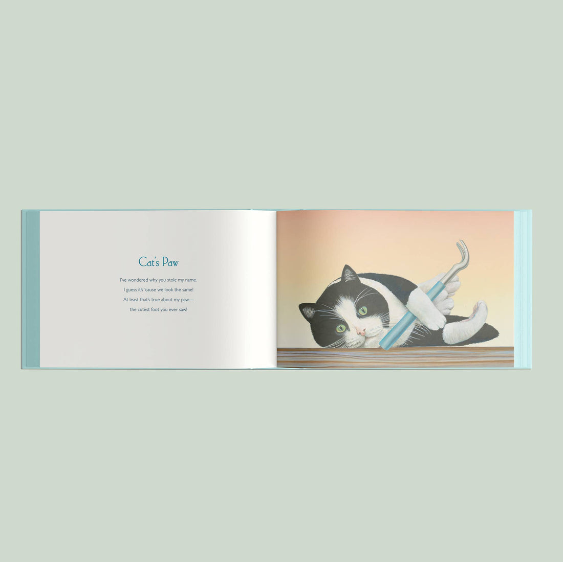 You Stole My Name Tools (Children's Picture Book)