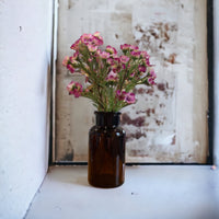 Wax Flower Amber Apothecary Jar Arrangement