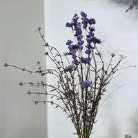 Aster Delphinium Bush - Purple - 23"