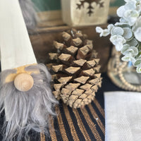 Medium Pinecone