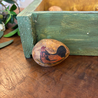 Gourd Eggs - Chickens