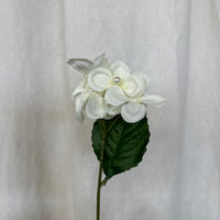 White Beaded Hydrangea Stem
