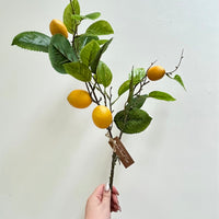 Faux Lemon Branches