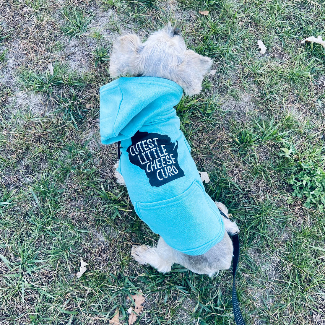 Cutest Little Cheese Curd Pet Hoodie - Grey