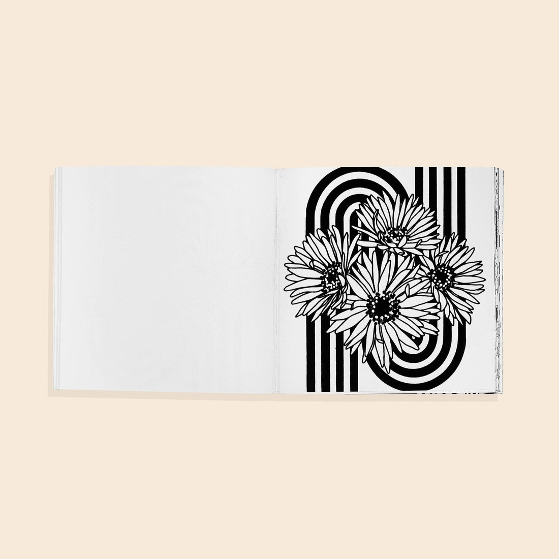 Heyday: A Retro Flower Design Coloring Book
