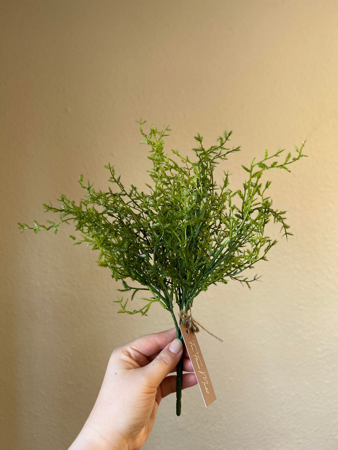 Dill Bush