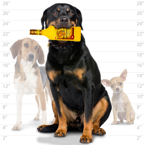 Silly Squeaker Liquor Bottle - Jose the Perro