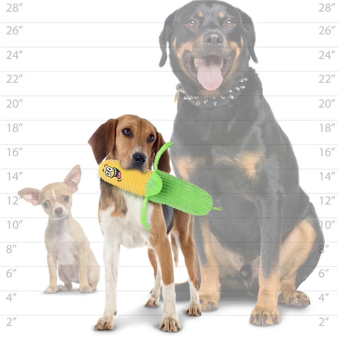 Tuffy Funny Food Corn, Durable, Squeaky Dog Toy 2-in-1