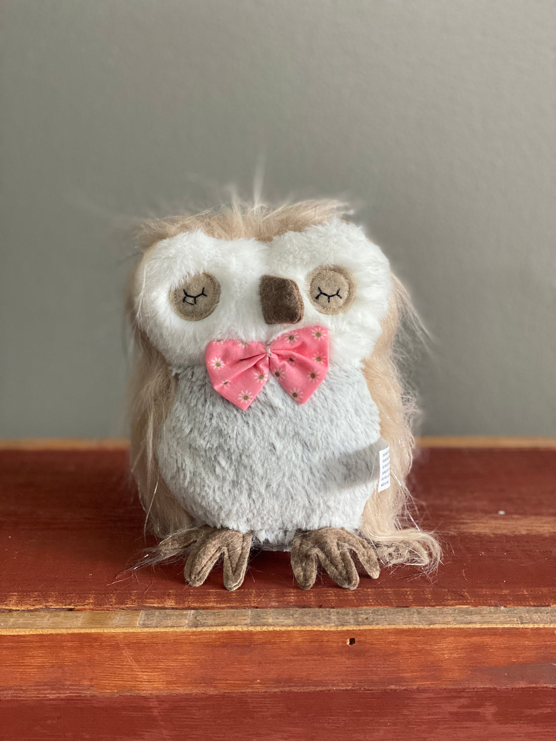 Owl with Pink Bow