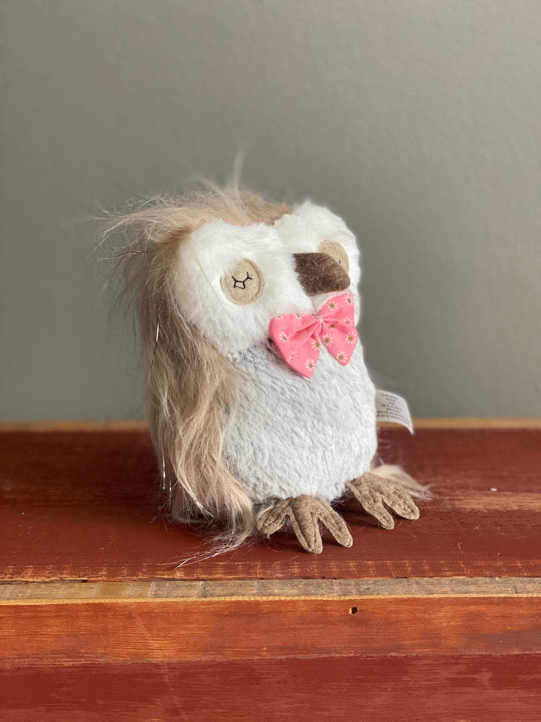 Owl with Pink Bow