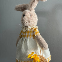 Mr. and Mrs. Garden Bunny