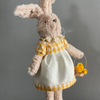 Mr. and Mrs. Garden Bunny