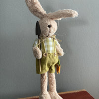 Mr. and Mrs. Garden Bunny