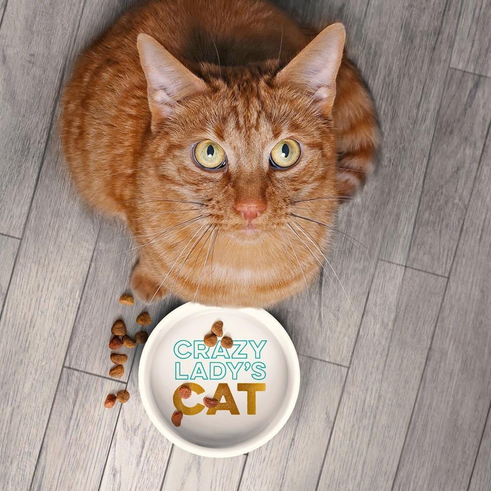 Howligans - Mug + Cat Bowl - Crazy Cat Lady/Crazy Lady's Cat